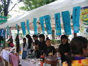 AVo-2006